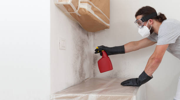 Professional Black Mold Remediation technician working in Clayton, NC