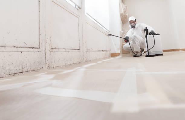 24/7 Emergency Black Mold Remediation experts in Clayton, NC