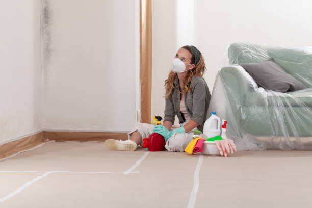 Reliable Black Mold Remediation contractor in Clayton, NC by Car Mold Remediation